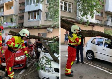 В Ужгороді гілка дерева впала на припарковані авто