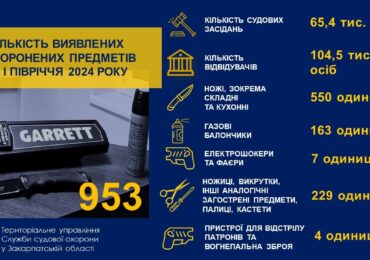 На Закарпатті судова охорона за півріччя виявила 953 заборонені предмети