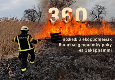 Від початку року на Закарпатті виникло 360 пожеж в екосистемах