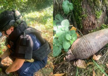 На Мукачівщині чоловік з дітьми виявили у лісі боєприпас часів Другої світової війни