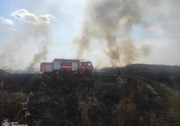 На Закарпатті сталася пожежа в екосистемі між лісом та житловим сектором