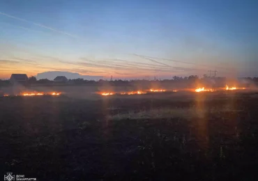 Протягом неділі закарпатські рятувальники ліквідували 9 пожеж в екосистемах