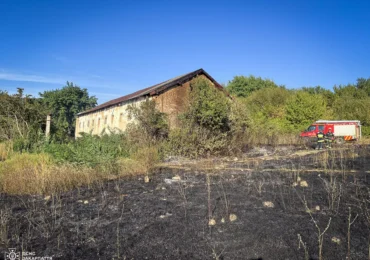 На Ужгородщині через загоряння сухостою постраждала будівля