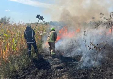 Боротьба закарпатських рятувальників з пожежами у екосистемах триває