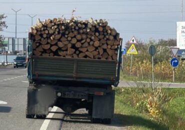 На об'їзній Ужгороді виявили керманича, який незаконно перевозив деревину