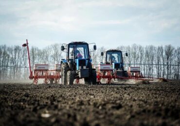 На Закарпатті провели посів озимих зернових