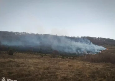 За добу на Закарпатті сталися дві пожежі сухостою: в одній із них постраждав 60-річний чоловік