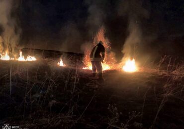 Впродовж неділі в екосистемах краю сталося 9 пожеж