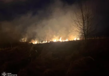 Через спалювання сухої трави загинула жінка