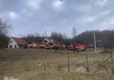 Внаслідок пожежі у житловому будинку на Тячівщині постраждала 50-річна жінка