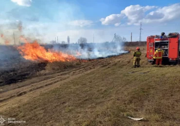 На Закарпатті продовжують горіти суха трава та чагарники