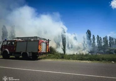 Берегівські рятувальники ліквідували пожежу сухої трави