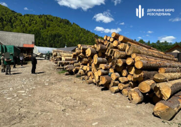 Cудитимуть лісників із Закарпаття, які завдали збитків довкіллю на понад 12 млн гривень
