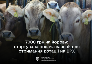 Розпочався добір заявок від аграріїв на спеціальну бюджетну дотацію для утримання  корів