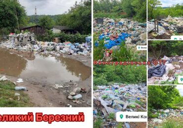На Закарпатті виявили незаконні звалища у двох громадах
