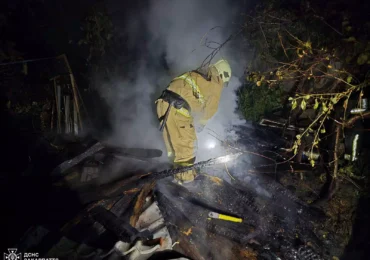 Рятувальники ліквідували пожежу деревини у Виноградові