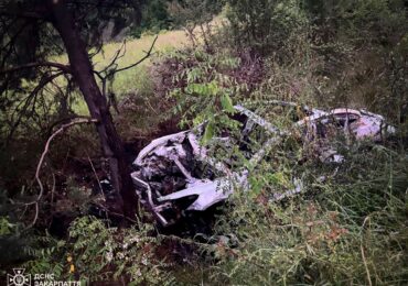 На Хустщині Tesla Model 3 влетіла у дерево та загорілася