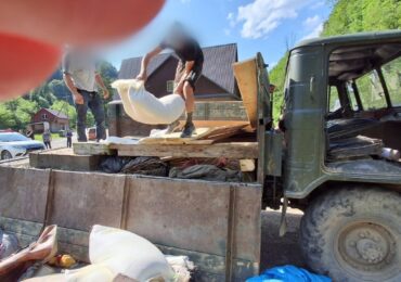 Кози, свині та теля: на Закарпатті викрили незвичний канал втечі за кордон