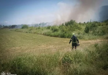 На Закарпатті знову масово палає сухостій