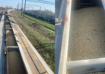 Закарпатські митники виявили незаконний експорт 160 тонн агропродукції за фіктивними документами