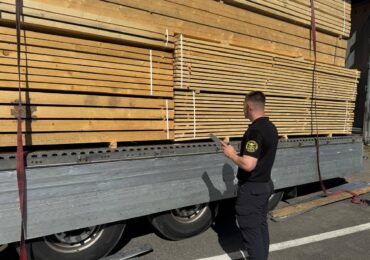 Закарпатські митники запобігли незаконному експорту до Угорщини хвойної лісопродукції