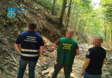 На території Краснянського лісництва викрили незакоону порубку лісу