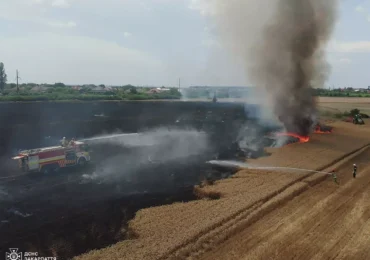 Вогнеборці Ужгородщини ліквідували пожежу сухої трави та пшениці