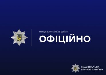 Знущання з котів в Ужгороді: поліція розпочала перевірку