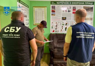 На Закарпатті викрито майстра лісу, який допустив незаконну вирубку дубів на 5,2 мільйона гривень