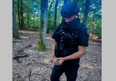 На Ужгородщині жінка з дитиною виявили мінометну міну в лісі