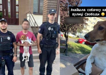 В Ужгороді патрульні знайшли й повернули власнику собаку, який загубився