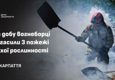 За добу вогнеборці Закарпаття загасили 3 пожежі сухої рослинності