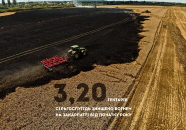 На Закарпатті з початку року вогонь знищив понад 3 гектари зернових