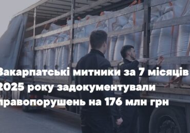 Митний заслін: на кордоні з Євросоюзом закарпатські митники задокументували  правопорушень на 176 млн грн