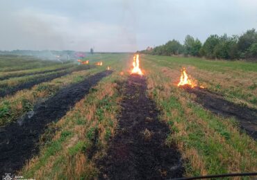 За день на Берегівщині згоріло майже 2 гектари сухої трави