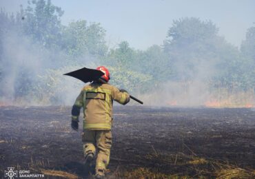 В Ужгороді ліквідували пожежу сухої трави