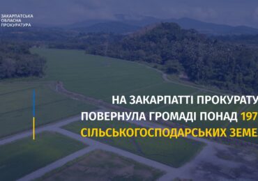 Прокуратура повернула громаді понад 197 га сільськогосподарських земель на Закарпатті