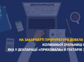На Закарпатті прокуратура довела вину колишньої очільниці МСЕК, яка у декларації «приховала» 9 гектарів землі