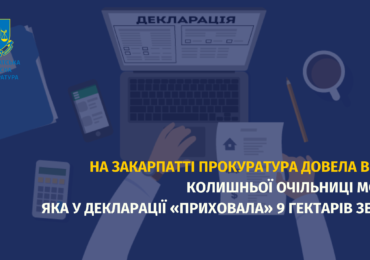 На Закарпатті прокуратура довела вину колишньої очільниці МСЕК, яка у декларації «приховала» 9 гектарів землі