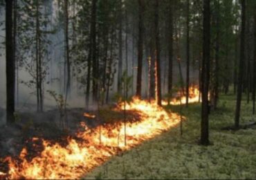 На Закарпатті пожежонебезпечно