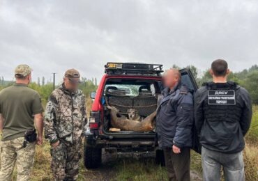 Поблизу кордону зі Словаччиною затримали двох браконьєрів із впольованою твариною