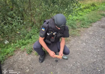На Закарпатті піротехніки знешкодили ручну гранату М-24 Другої світової війни