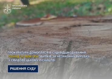 Прокуратура домоглася в суді відшкодування понад 3,2 млн грн збитків за незаконну вирубку у Свидовецькому лісництві