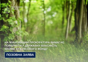 На Мукачівщині прокуратура вимагає повернути у державну власність майже 3 га лісового фонду