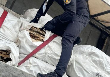 Керівник вітчизняної фабрики втратив на кордоні зі Словаччиною партію хутра з бобра на 10 млн грн