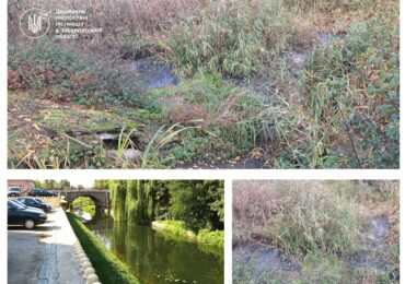Річка Верке у Берегові забруднена стічними водами