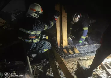 Рятувальники ліквідували пожежу житлового будинку в селі Нижнє Солотвино
