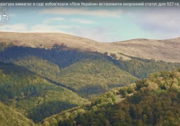 На Закарпатті прокуратура вимагає захистити понад 500 га пралісів