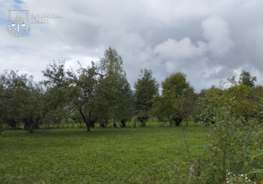 На Тячівщині чоловік привласнив землю на майже 1 млн грн на підставі підробленого рішення сільради