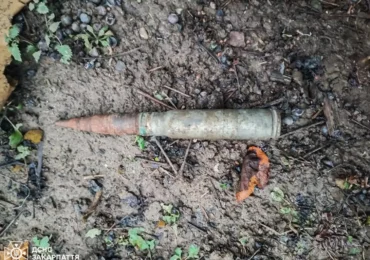 Артилерійський снаряд Другої світової війни знешкодили на Ужгородщині